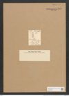 Achnanthes neglecta Schum. (de-Toni-Nr.: Genus 43, Species 1949) Zeichnungen Sammlung Grunow Nr. 3850 (NHMW-BOT-W0371548)